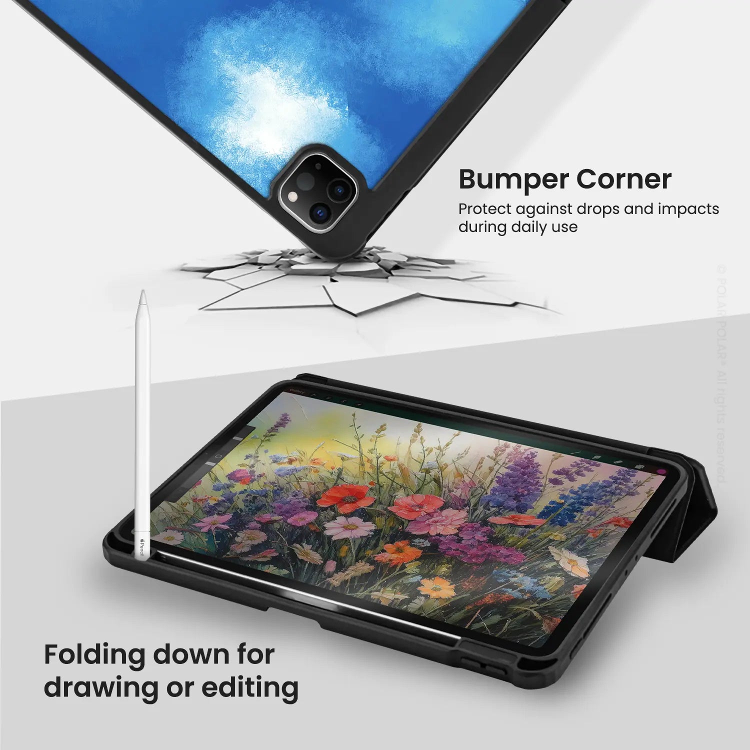 Standard_iPad Pro 12.9-inch (6th 5th gen) | Black