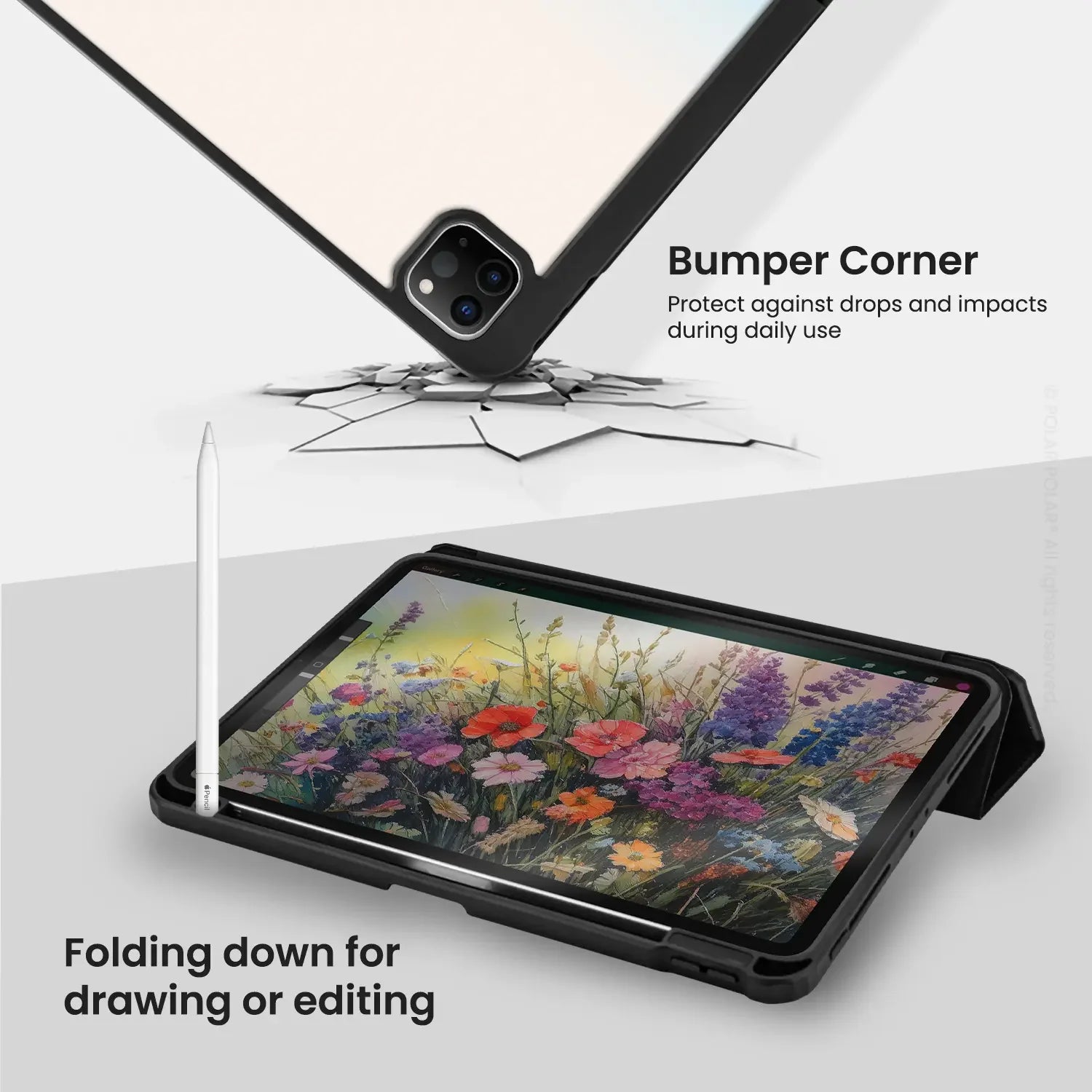 Standard_iPad Pro 11-inch (4th 3rd 2nd gen) | Black