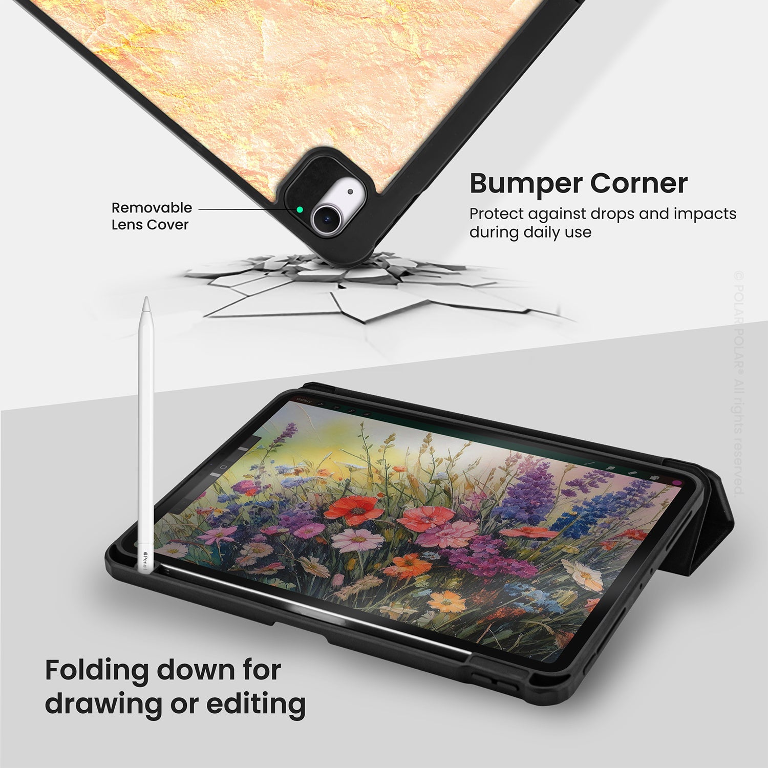 Standard_iPad Air 11" (M3 M2) | Black