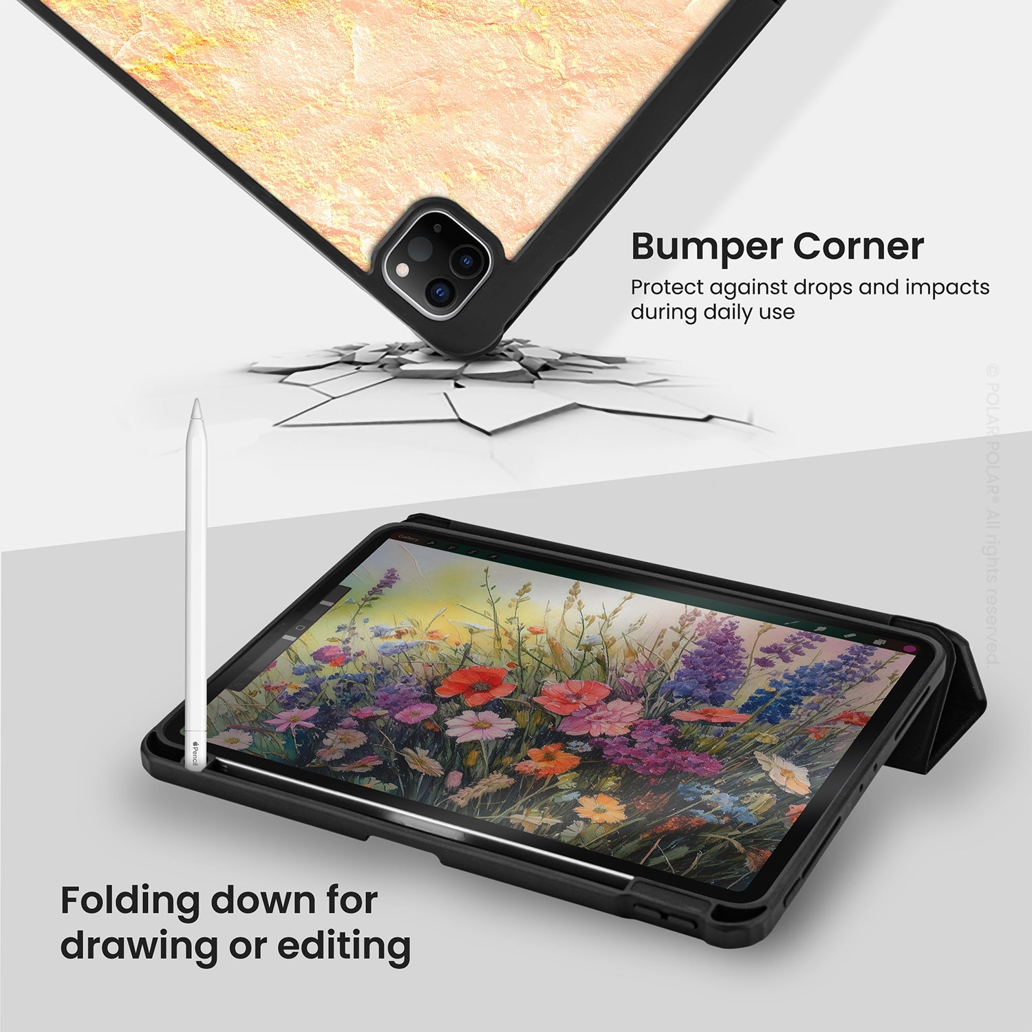 Standard_iPad Pro 11" (2nd 3rd 4th) | Black