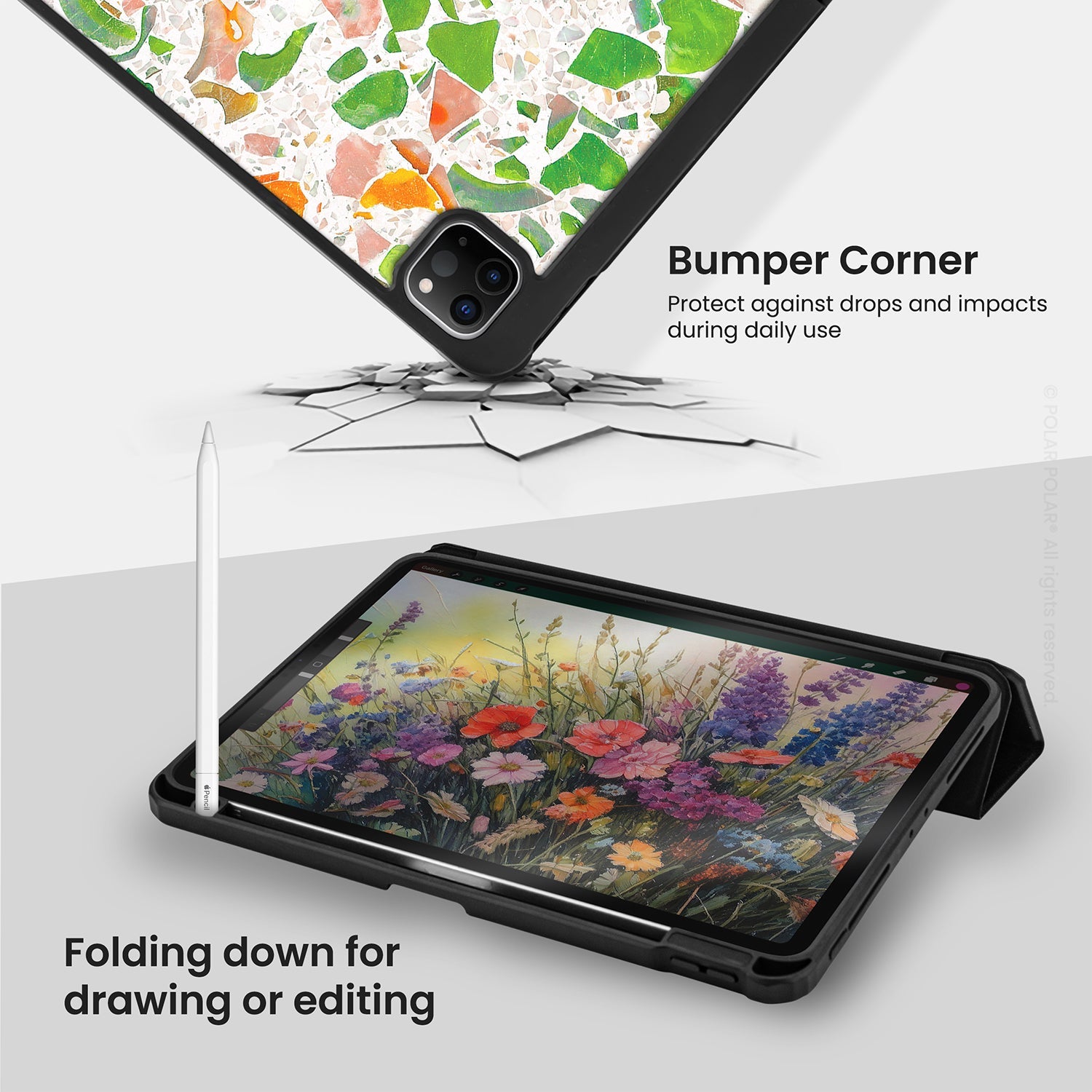 Standard_iPad Pro 11 (2nd 3rd 4th) | Black