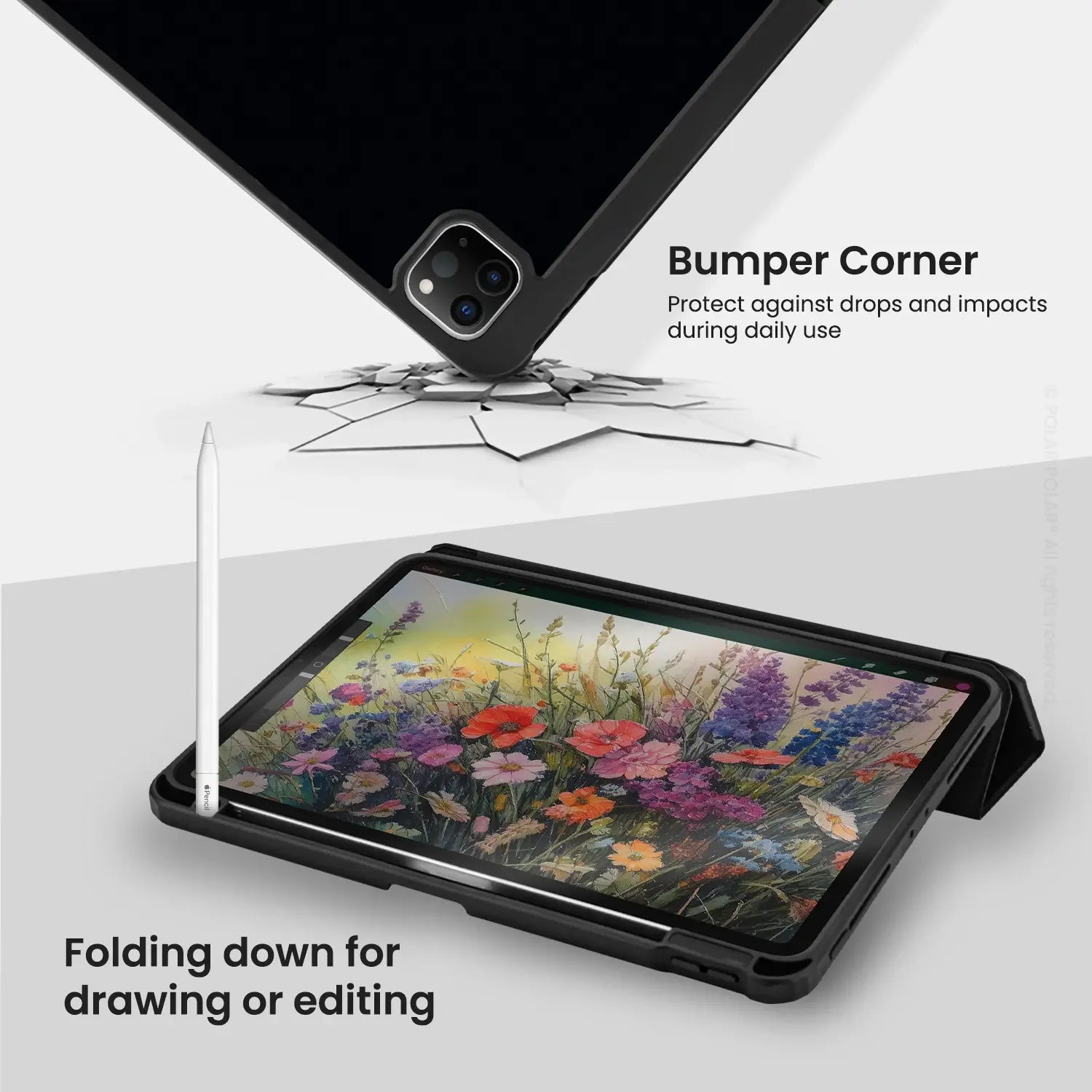 Standard_iPad Pro 11-inch (4th 3rd 2nd gen) | Black