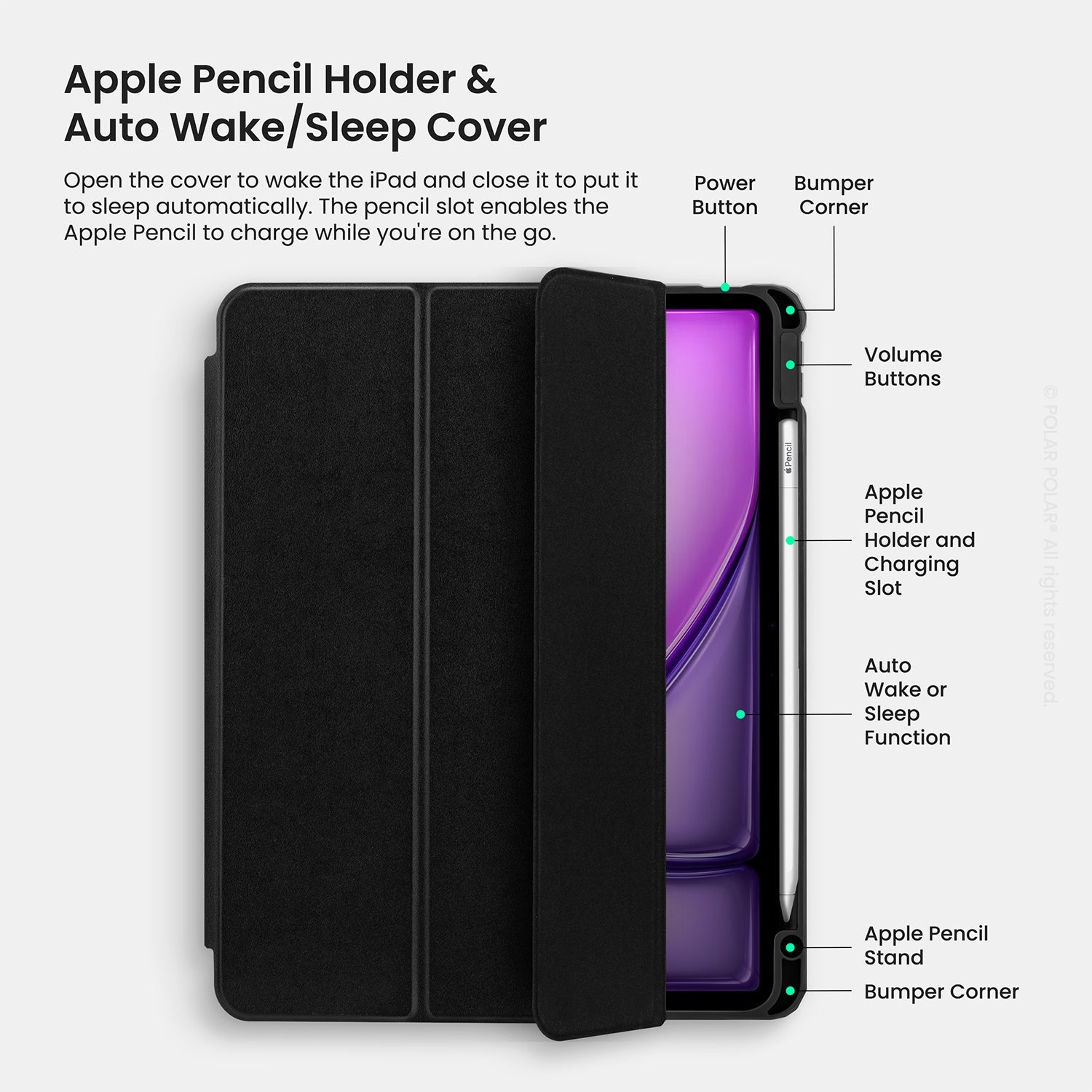 Standard_iPad Pro 12.9" (5th 6th) | Black