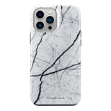 Standard_iPhone 13 Pro Max | Tough Case (dual-layer) Tough MagSafe Case | Common