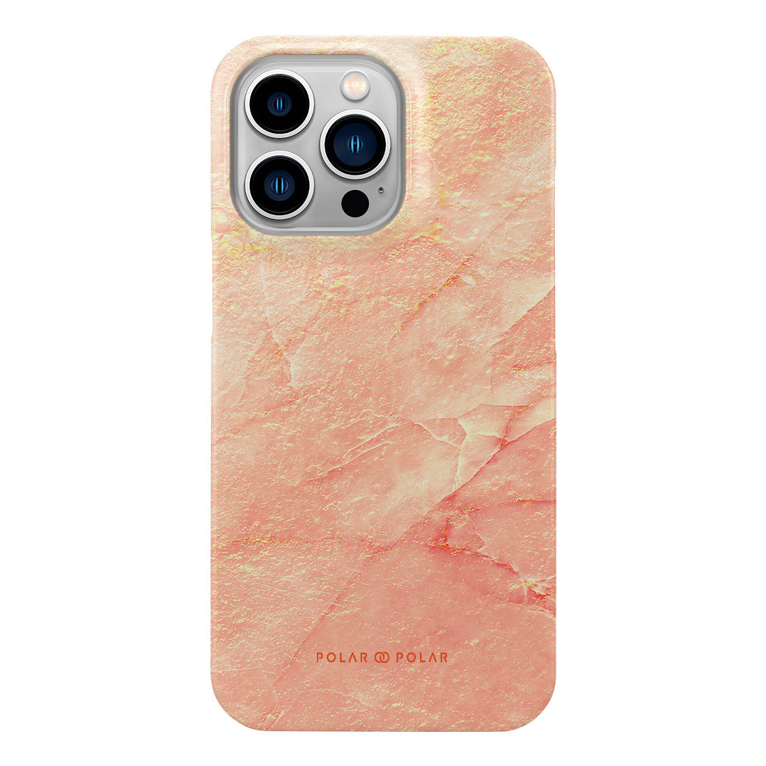 Standard_iPhone 13 Pro | Snap Case | Common